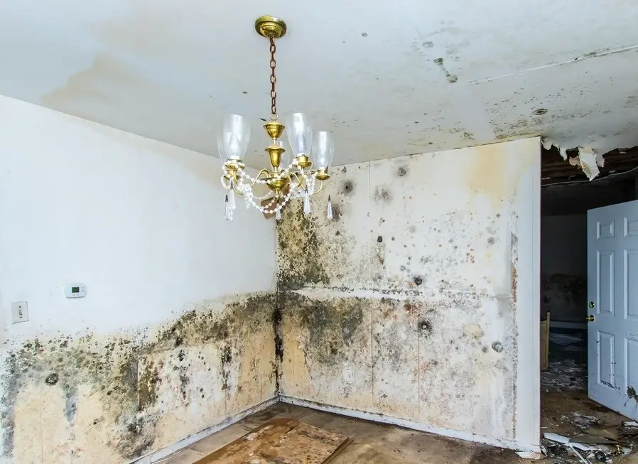 Water Damage Restoration Services Van Nuys, CA